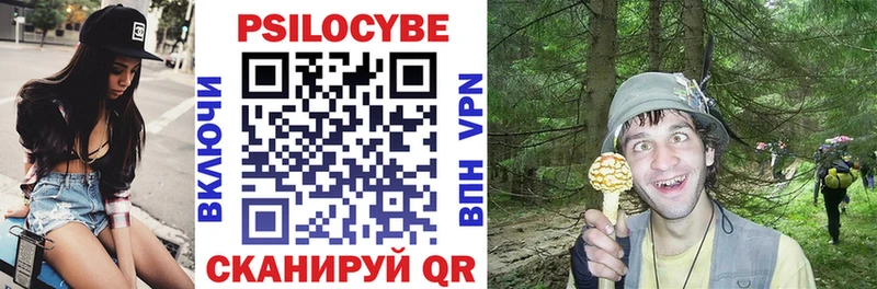 Галлюциногенные грибы Psilocybine cubensis  Купить где  Инта 